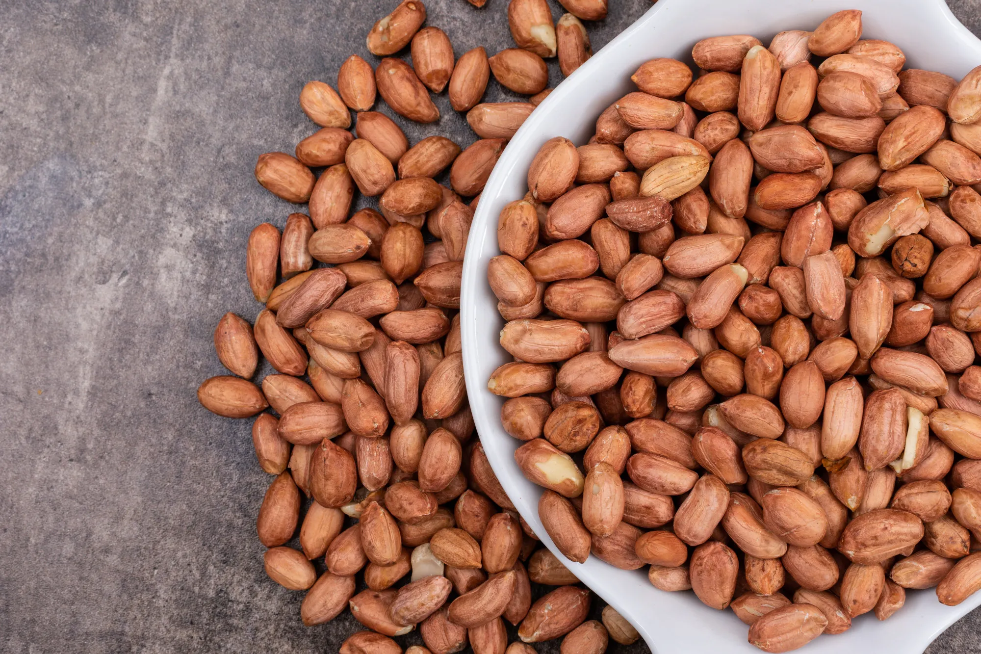 Peanut Butter Processing Plant