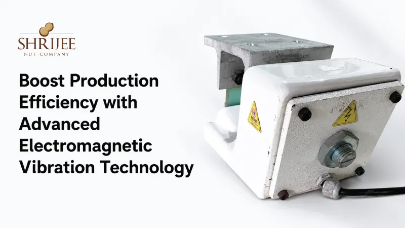 Boost Production Efficiency with Advanced Electromagnetic Vibration Technology