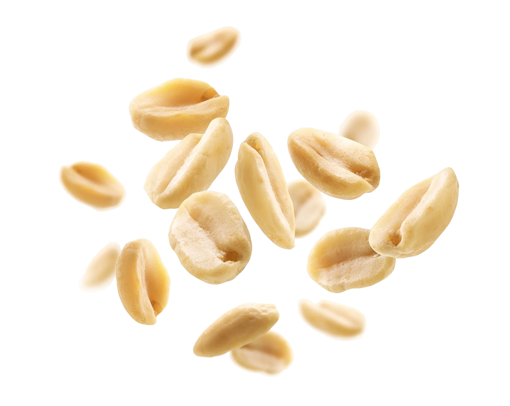 Peanut Processing Equipment