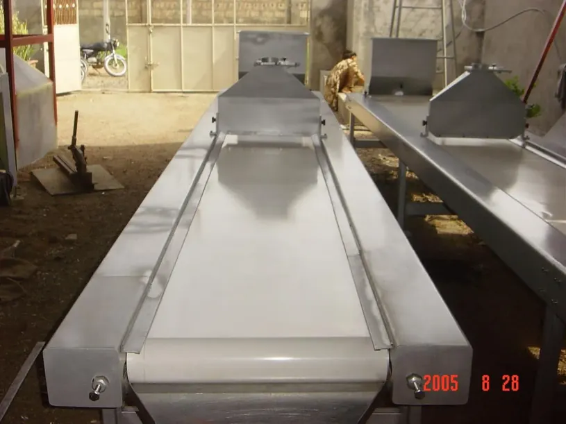 Peanut Sorting and Inspection Table